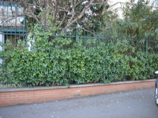 Enlarge photo 8