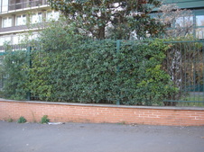 Enlarge photo 10