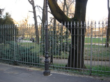 Enlarge photo 21