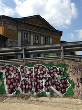 Enlarge photo 17