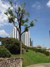 Enlarge photo 18