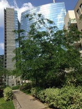Enlarge photo 21
