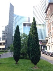 Enlarge photo 33
