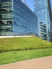 Enlarge photo 63