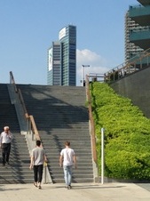 Enlarge photo 84