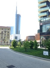 Enlarge photo 88