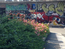 Enlarge photo 111