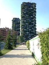 Enlarge photo 129