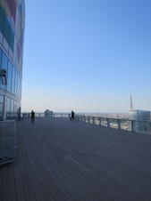Enlarge photo 51