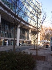 Enlarge photo 28