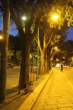 Enlarge photo 35