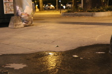Enlarge photo 47