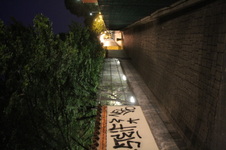 Enlarge photo 67
