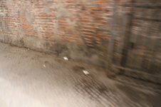 Enlarge photo 92