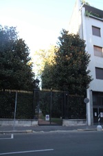 Enlarge photo 50