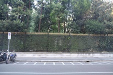 Enlarge photo 53
