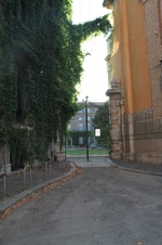 Enlarge photo 73