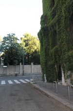 Enlarge photo 77