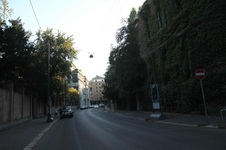 Enlarge photo 80