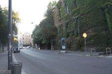 Enlarge photo 82