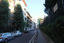 Enlarge photo 103