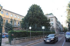 Enlarge photo 109