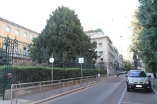 Enlarge photo 110