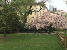 Enlarge photo 15
