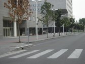 Enlarge photo 38