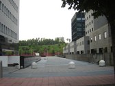 Enlarge photo 47