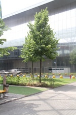 Enlarge photo 26