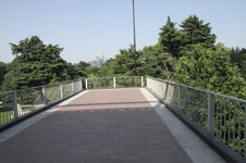 Enlarge photo 50