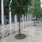Enlarge photo 13