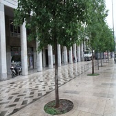 Enlarge photo 17
