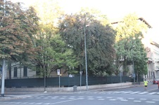 Enlarge photo 43