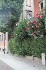Enlarge photo 55