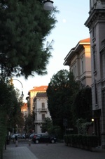 Enlarge photo 64