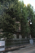 Enlarge photo 76