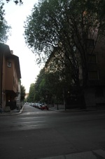 Enlarge photo 90
