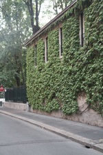 Enlarge photo 105
