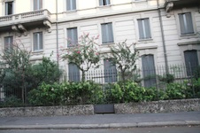 Enlarge photo 110
