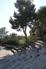 Enlarge photo 15