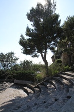 Enlarge photo 16
