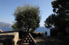 Enlarge photo 17
