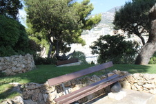 Enlarge photo 21