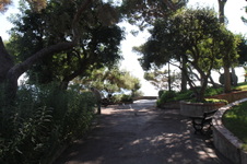 Enlarge photo 23