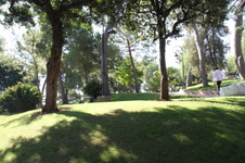 Enlarge photo 24