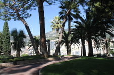 Enlarge photo 26