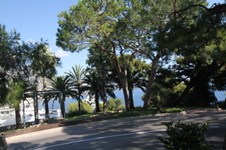 Enlarge photo 28