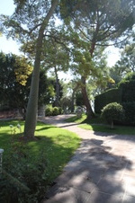 Enlarge photo 33